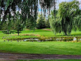 Golf greens in Thorold Ontario